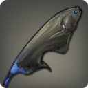 Black Magefish