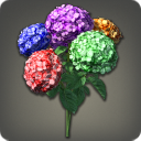 Bouquet d[@SC]hortensias multicolores