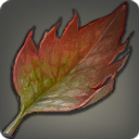 Red Landtrap Leaf