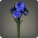 Bouquet de centaurées bleues