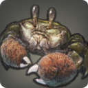 Crabe à mitaines