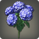 Bouquet d[@SC]hortensias bleus