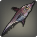 Teufelsbart-Grenadierfisch