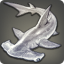 Requin-marteau platine