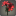 Bouquet de lys rouges