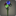 Bouquet de centaurées multicolores