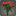 Bouquet d[@SC]œillets rouges