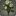 Bouquet de dahlias blancs