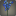 Bouquet de pois de senteur bleus