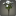 Bouquet de byregotias blanches