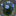 Bouquet de cosmos bleus