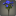 Bouquet de byregotias bleues