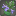 Verveine de Yak T[@SC]el