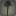 Bouquet de triteleia noirs
