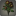 Bouquet de dahlias noirs
