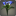 Bouquet de callas bleues
