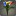 Bouquet de callas multicolores