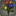 Bouquet de dahlias multicolores