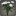 Bouquet d[@SC]œillets blancs