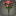 Bouquet de byregotias rouges