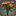 Bouquet d[@SC]œillets orange
