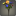 Bouquet de byregotias multicolores