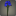Bouquet de triteleia bleus