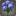 Blue Hydrangeas