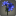 Bouquet de lys bleus