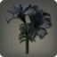 Black Brightlilies