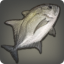 Ronin Trevally