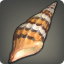 Spearhead Snail