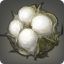 Cotton Boll