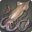 Giant Squid