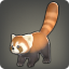 Lesser Panda