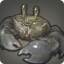 Mudcrab