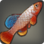 Grip Killifish