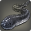 Blackfin Snake Eel