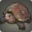 Box Turtle