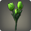 Green Tulips