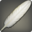 Waterfowl Feather