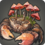 Mushroom Crab