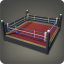 Fighting Ring