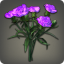 Purple Carnation