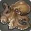 Usuginu Octopus