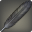 Black Swan Feather