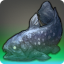 Coelacanthus