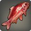 赤彩魚