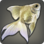 白金魚