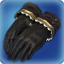 Academic[@SC]s Gloves